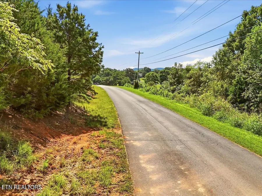 Lot 1 Holston River Drive, Rutledge, TN 37861 - #3