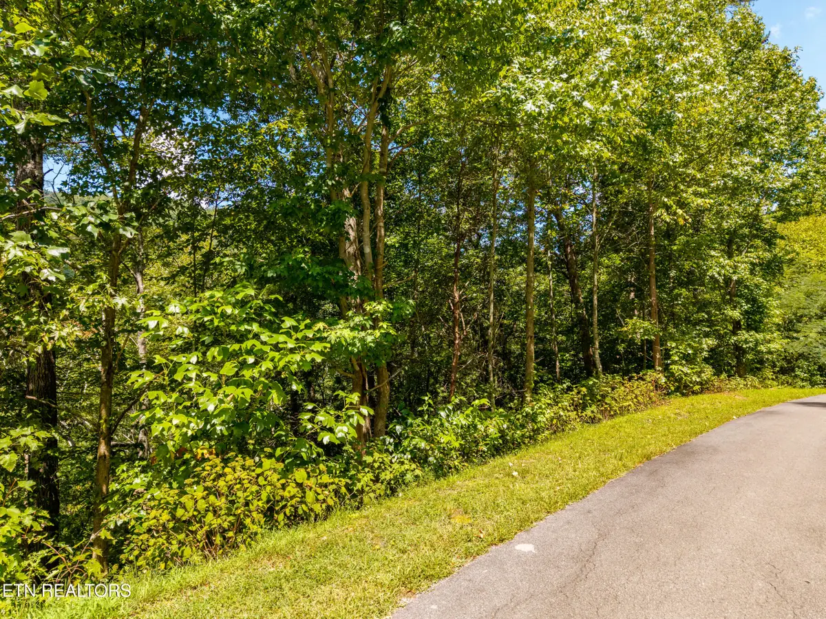 445 Chetola Tr, Townsend, TN 37882 - #1