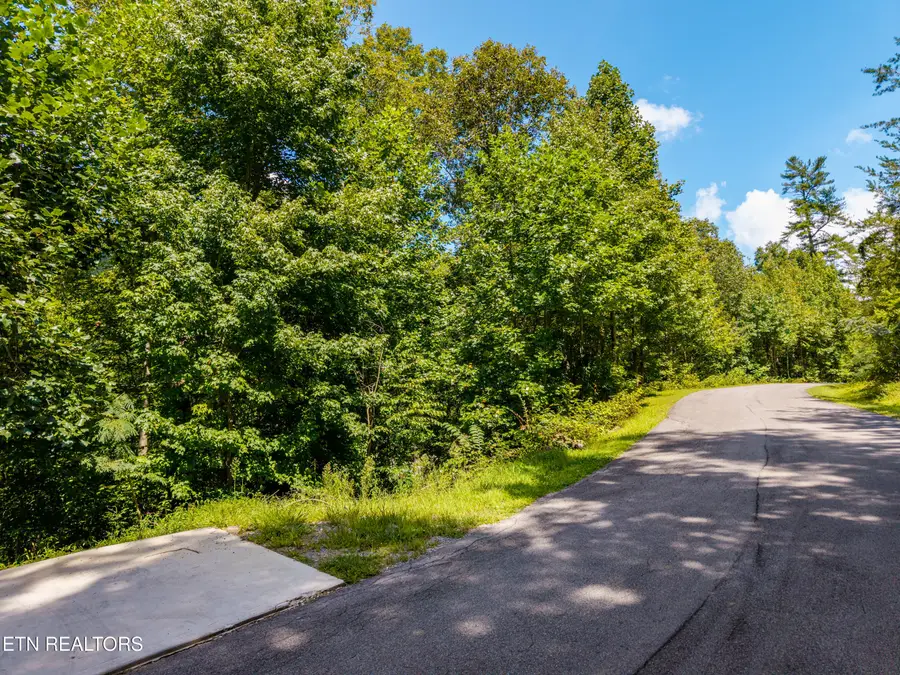 445 Chetola Tr, Townsend, TN 37882 - #3