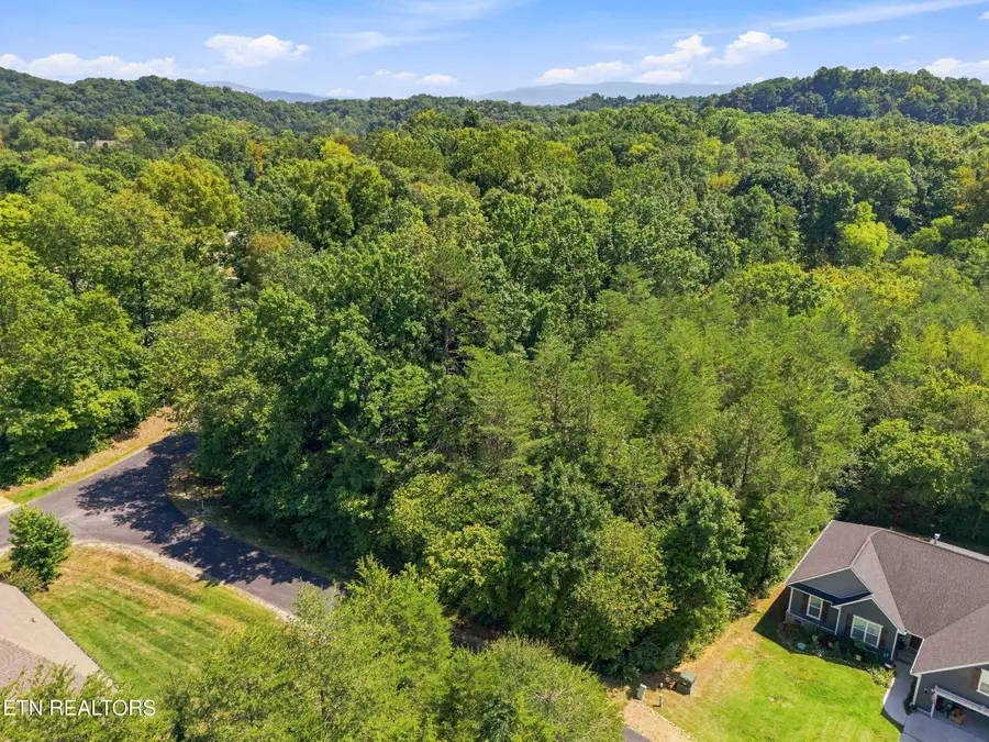349 Dudala Way, Loudon, TN 37774 - #2