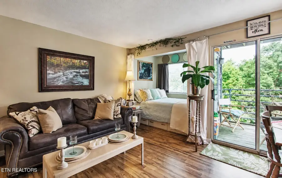 1260 Ski View Drive #APT 2207, Gatlinburg, TN 37738 - #3