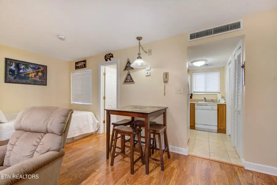 1260 Ski View Drive #APT 2104, Gatlinburg, TN 37738 - #3