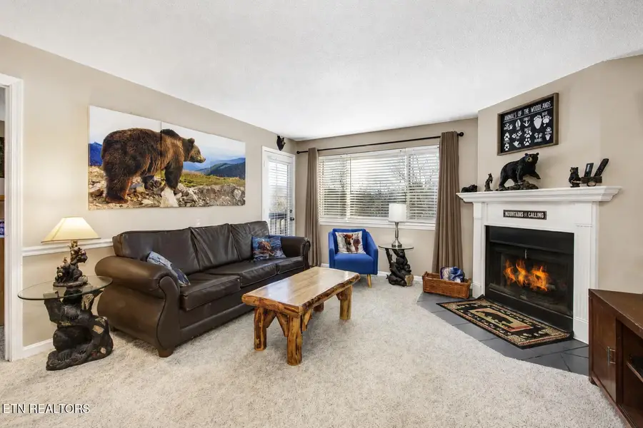 1380 Ski View Drive #APT 1205, Gatlinburg, TN 37738 - #3