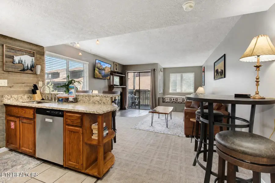 1380 Ski View Drive #UNIT 2204, Gatlinburg, TN 37738 - #3
