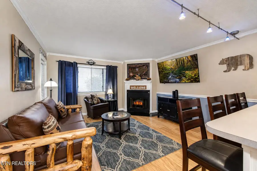 1380 Ski View Drive #APT 1102, Gatlinburg, TN 37738 - #2