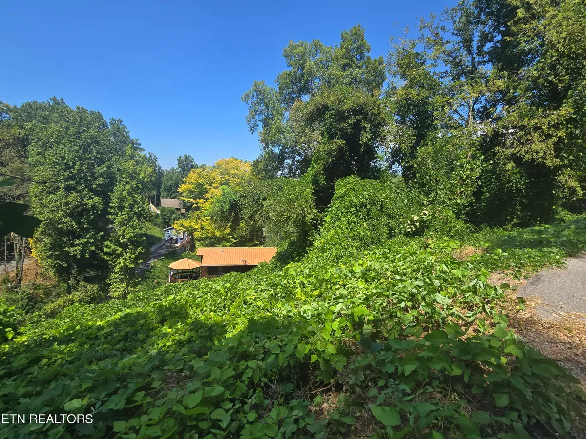 431 W Loop Rd, Gatlinburg, TN 37738 - #1