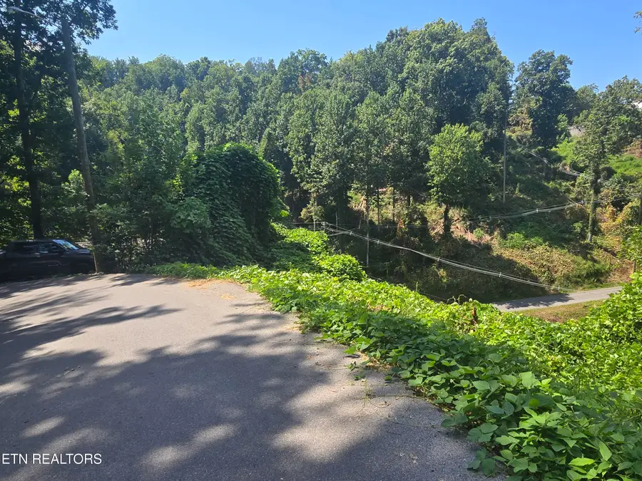 431 W Loop Rd, Gatlinburg, TN 37738 - #2