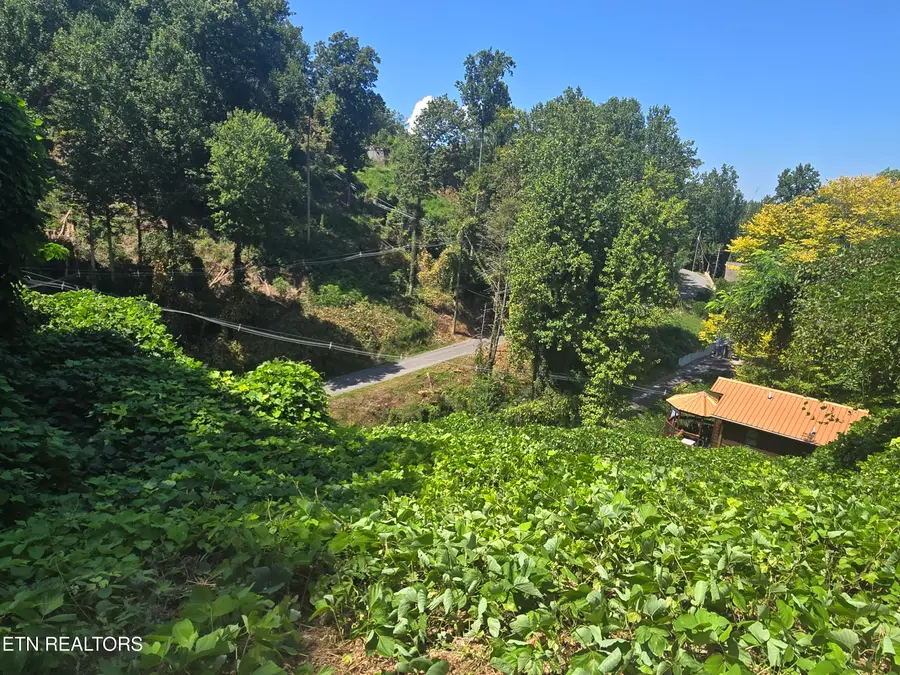 431 W Loop Rd, Gatlinburg, TN 37738 - #3