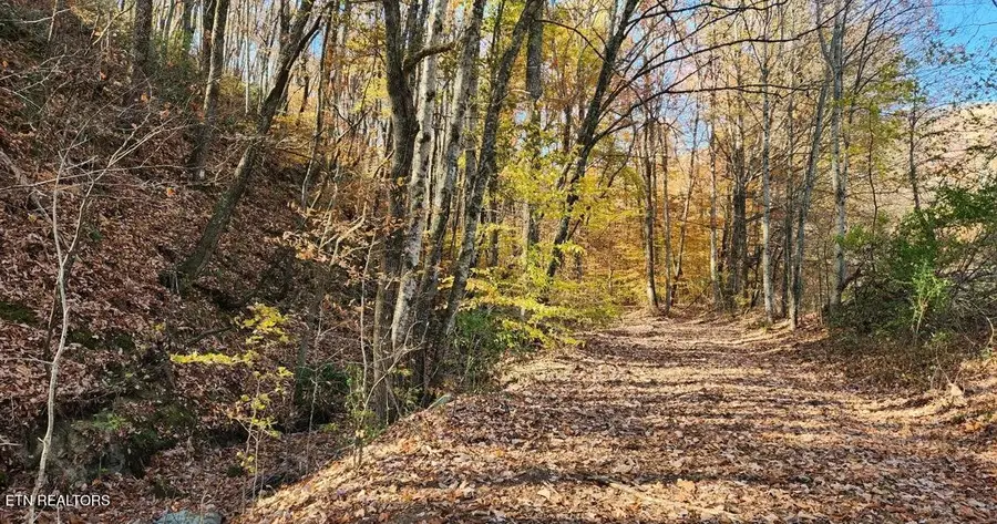 10414 Petros Hwy, Oliver Springs, TN 37840 - #2