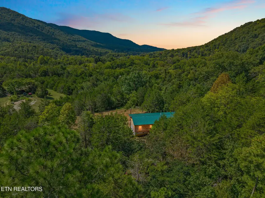 239 County Road 468, Englewood, TN 37329 - #3