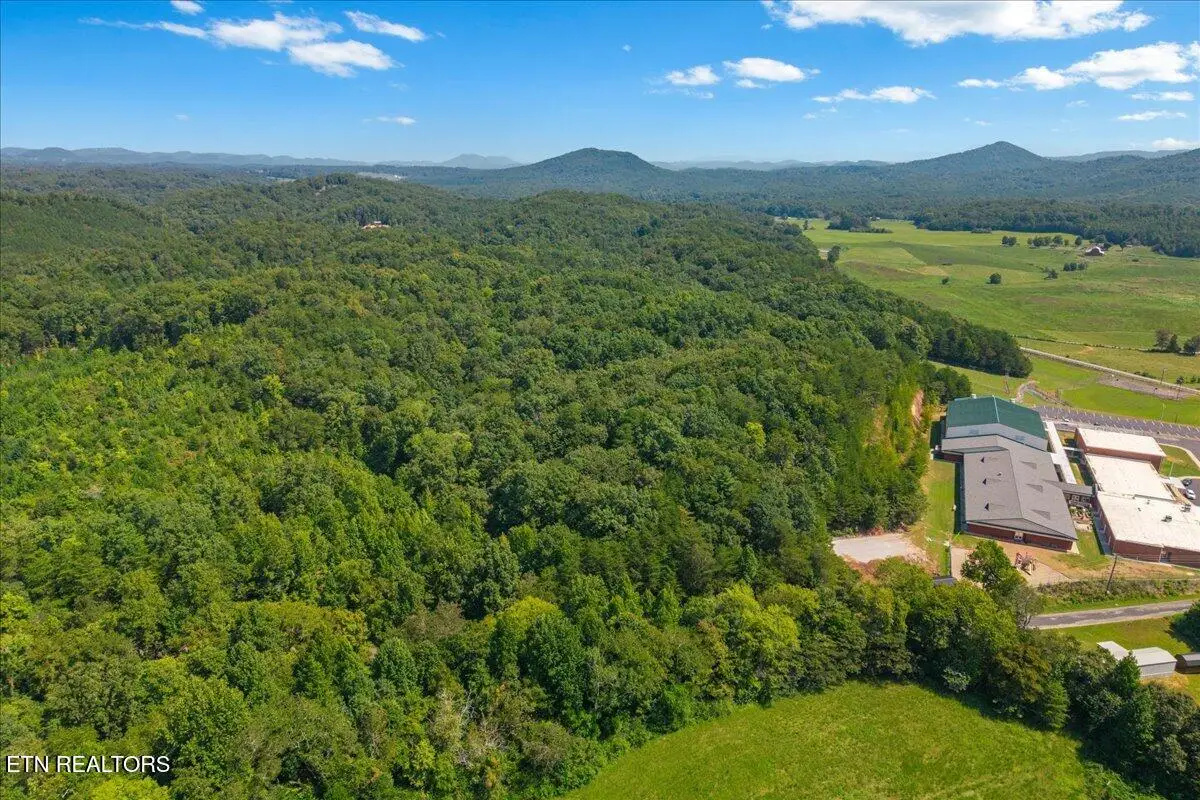 Daugherty Springs Road Rd, Tellico Plains, TN 37385 - #1
