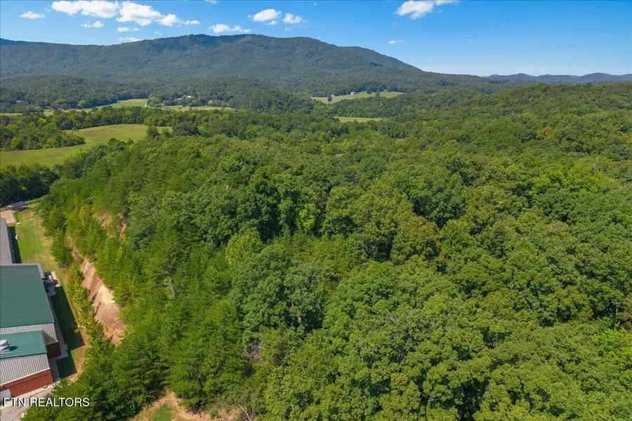 Daugherty Springs Road Rd, Tellico Plains, TN 37385 - #2