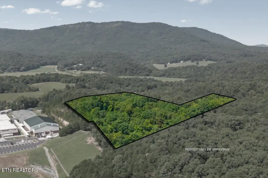 Daugherty Springs Road Rd, Tellico Plains, TN 37385 - #3