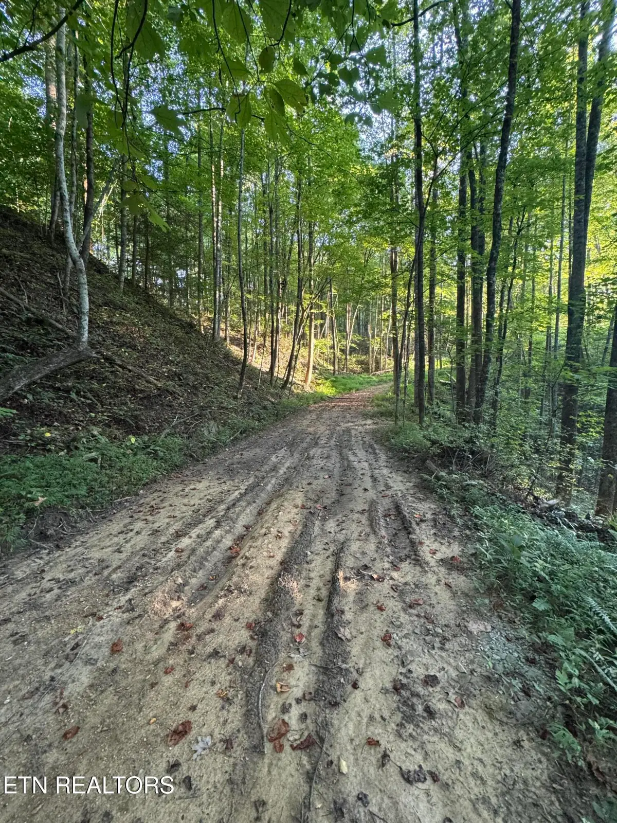 150 Timber Oaks Lane, Pioneer, TN 37847 - #1
