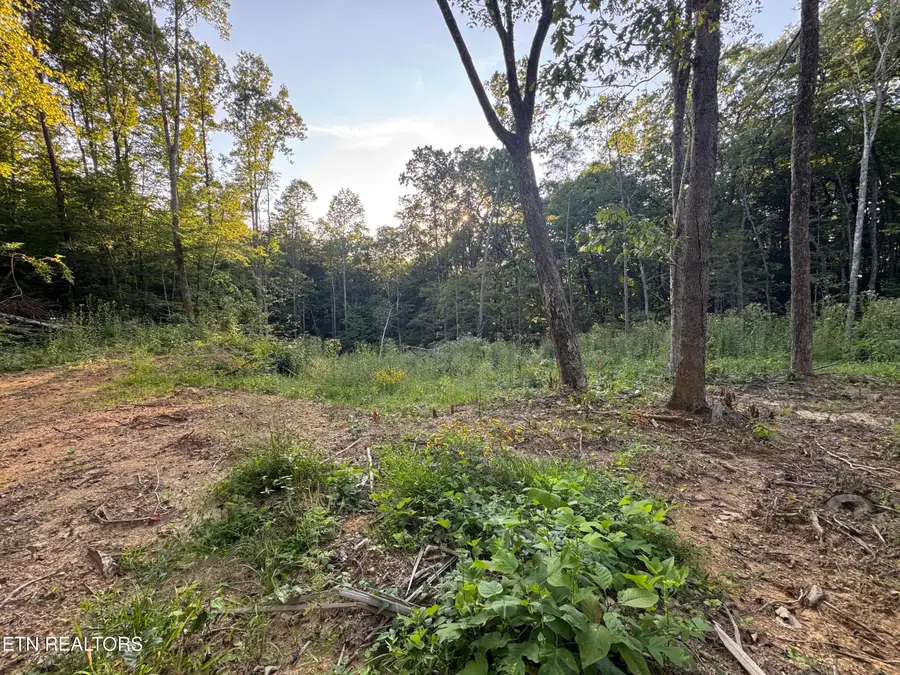 150 Timber Oaks Lane, Pioneer, TN 37847 - #3
