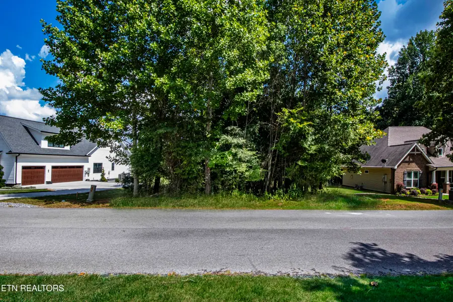 107 Atasi Tr, Vonore, TN 37885 - #3