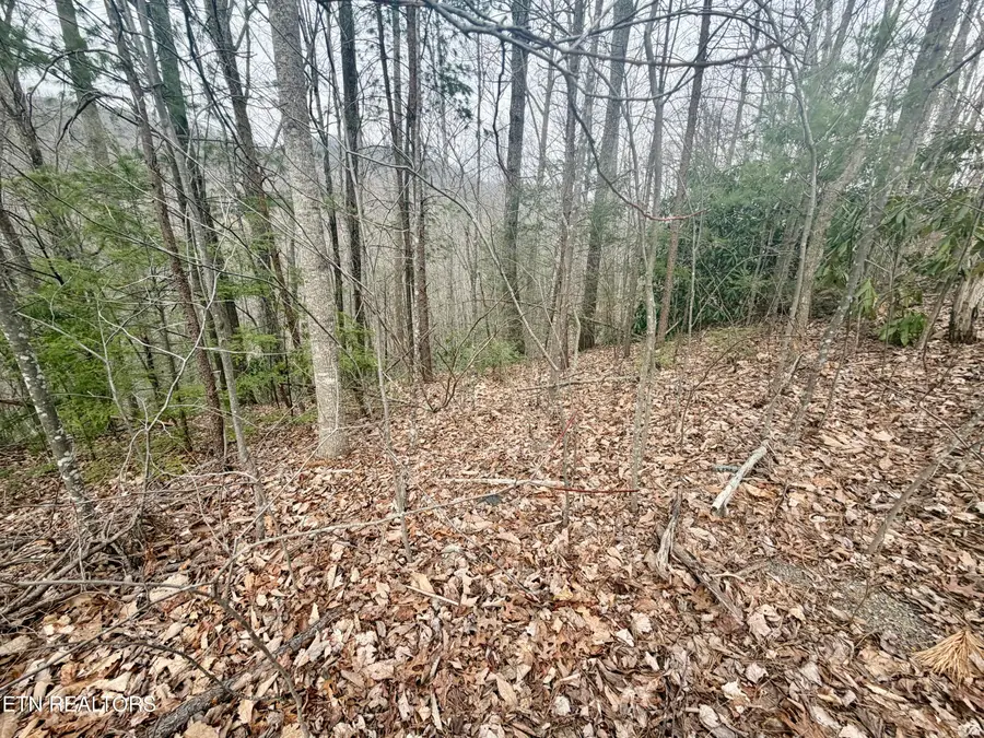 Thissa Way, Gatlinburg, TN 37738 - #2