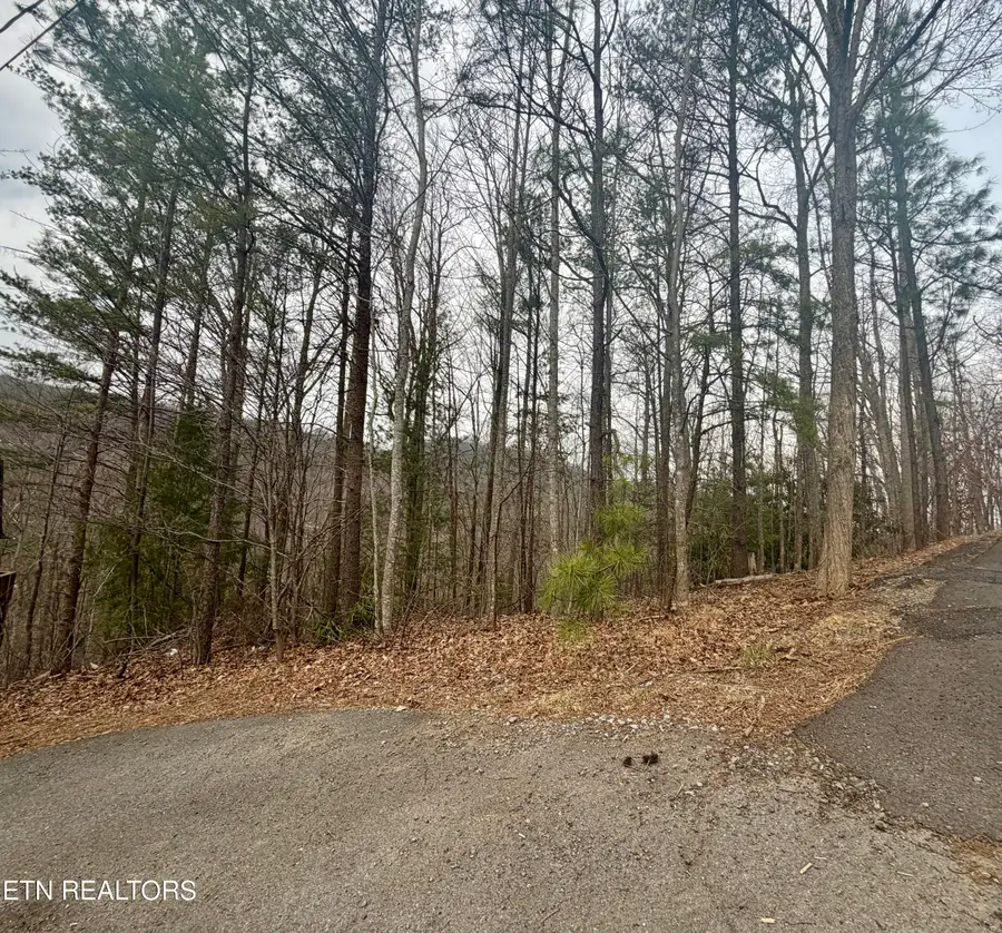 Thissa Way, Gatlinburg, TN 37738 - #3