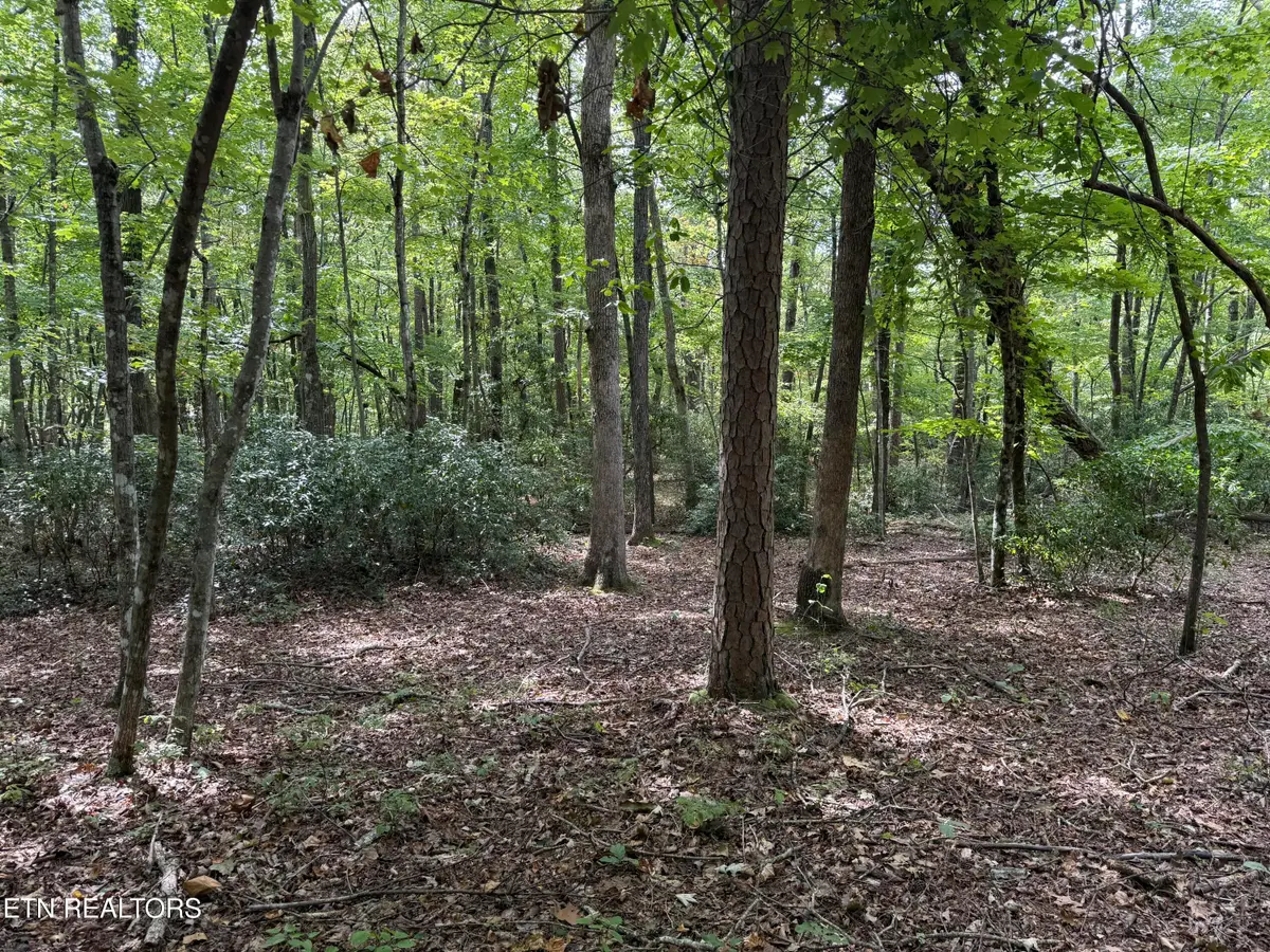 Lot 6 Tanner Drive, Monterey, TN 38574 - #1