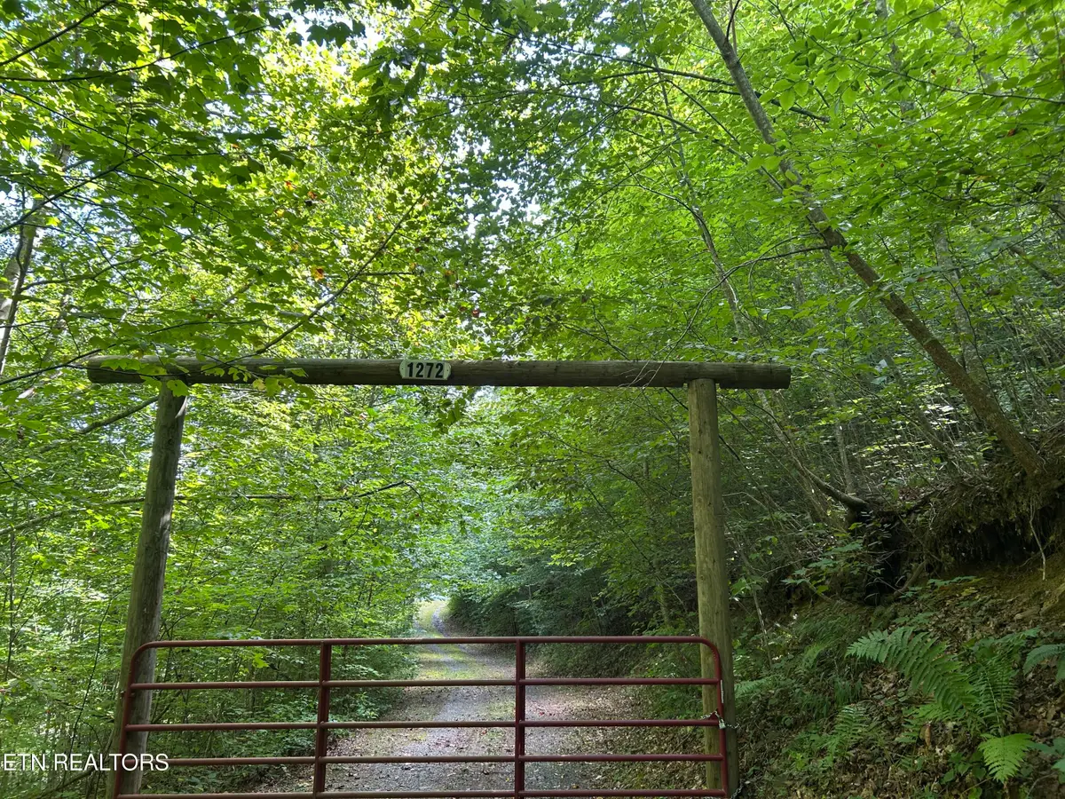 1272 Briar Fork Rd, Bean Station, TN 37708 - #1