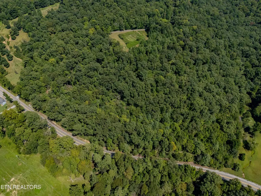 0 Morgan Co (8 Ac) Hwy, Lancing, TN 37770 - #3