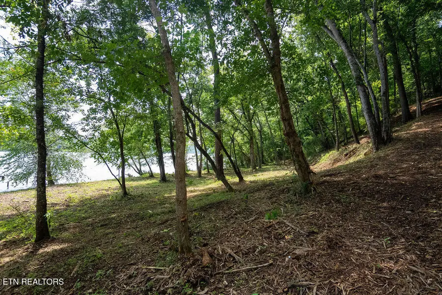 Lot 6 Valley Drive, Loudon, TN 37774 - #2
