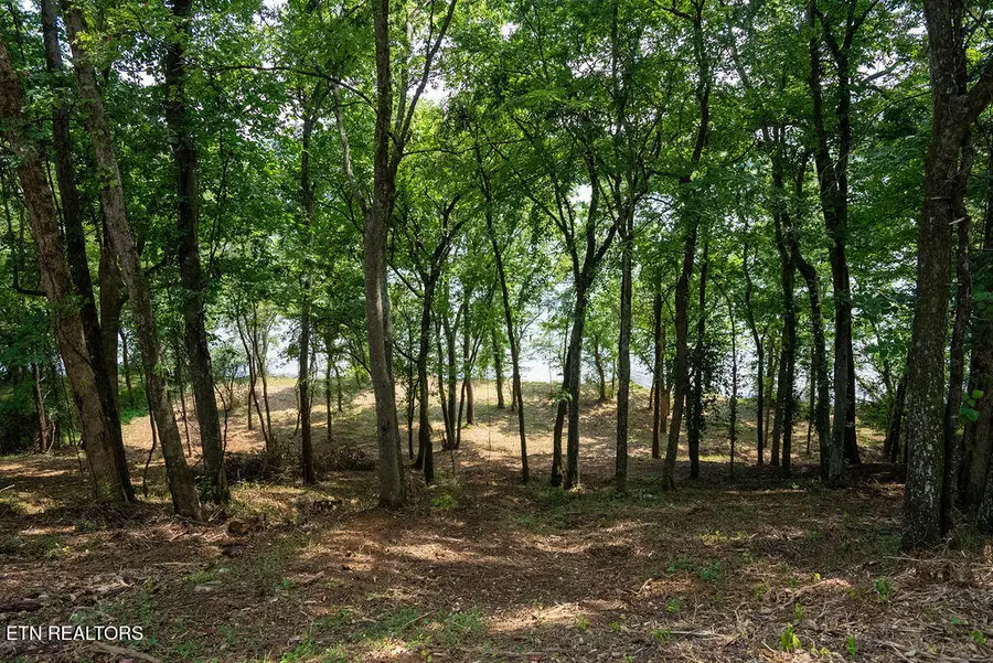 Lot 6 Valley Drive, Loudon, TN 37774 - #3
