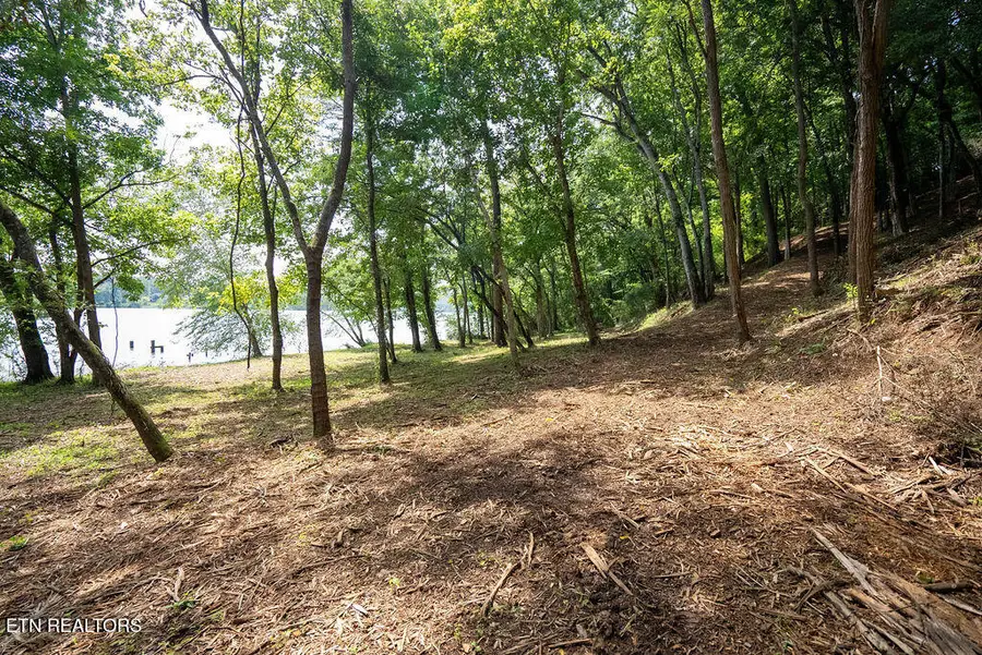 Lot 5 Valley Drive, Loudon, TN 37774 - #2