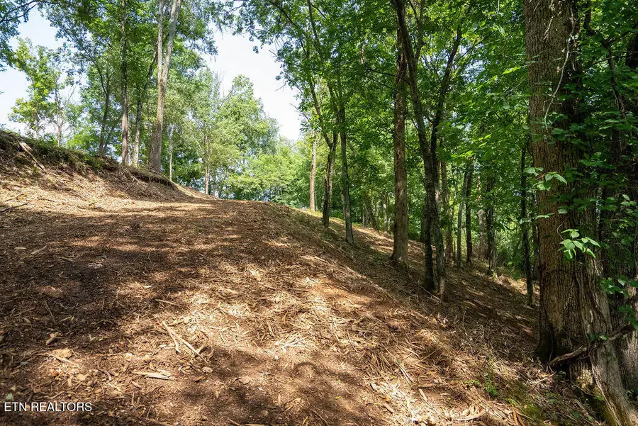 Lot 5 Valley Drive, Loudon, TN 37774 - #3