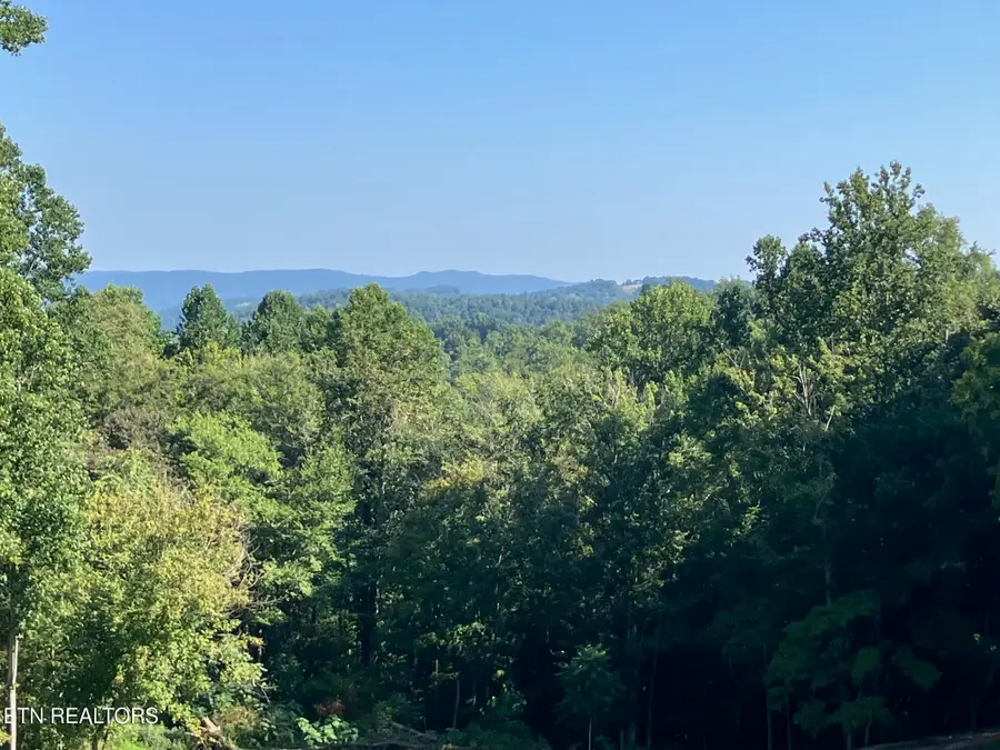 Locust Grove Rd, New Tazewell, TN 37825 - #2