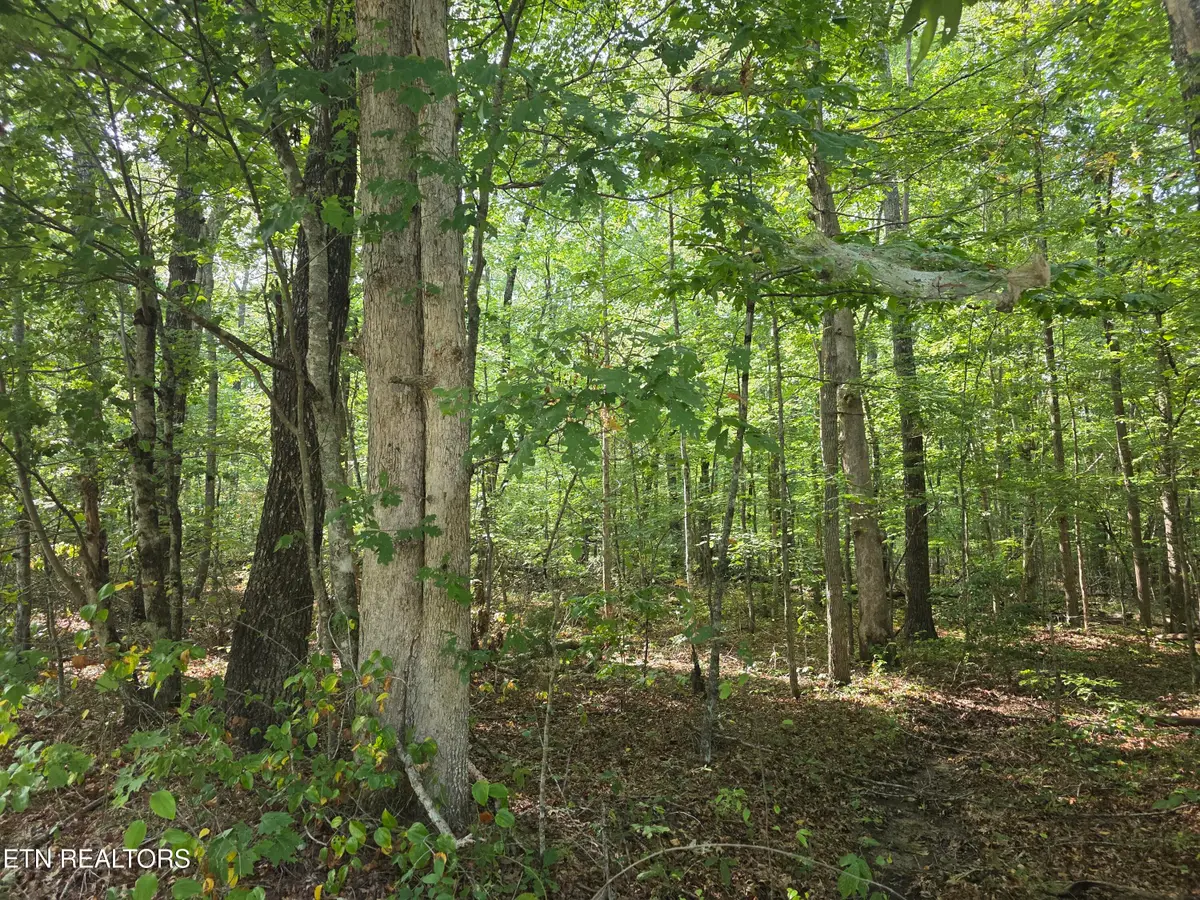 6 Cumberland Lakes Drive, Monterey, TN 38574 - #1