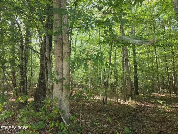 6 Cumberland Lakes Drive, Monterey, TN 38574