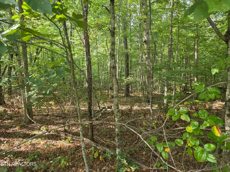 6 Cumberland Lakes Drive, Monterey, TN 38574 - #2