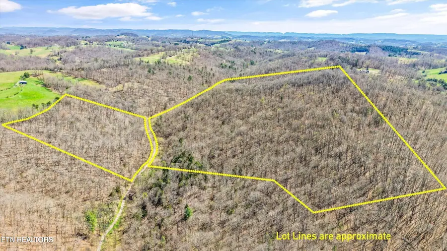 515 Robinson Rd, New Tazewell, TN 37825 - #2