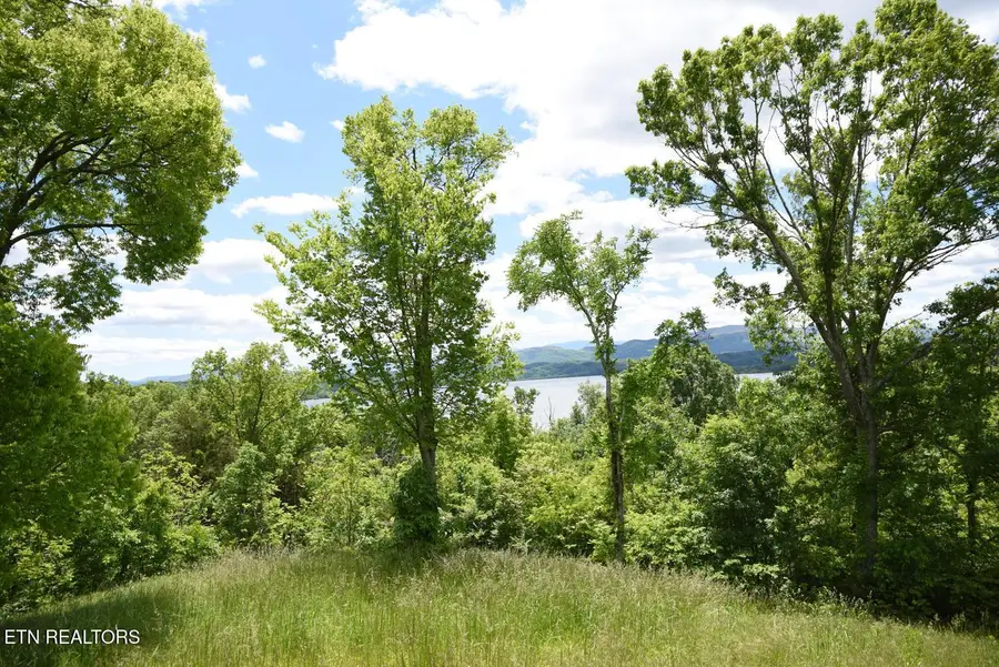 Lot 5 Waterford Way, Newport, TN 37821 - #2