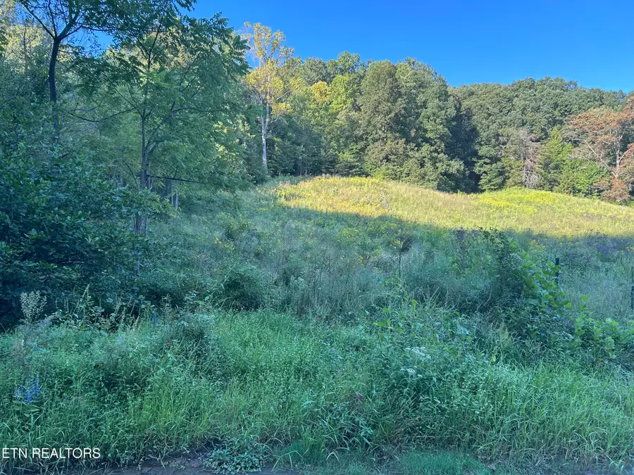 1261 Cave Springs Rd, Rogersville, TN 37857 - #2