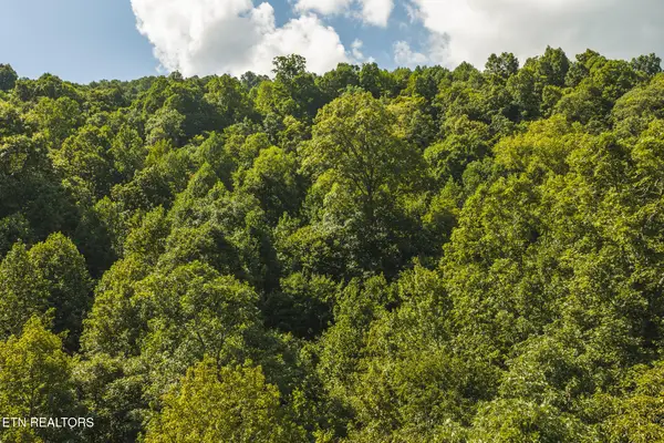 Watson Hollow Rd, Speedwell, TN 37870