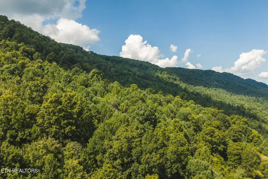 Watson Hollow Rd, Speedwell, TN 37870 - #2
