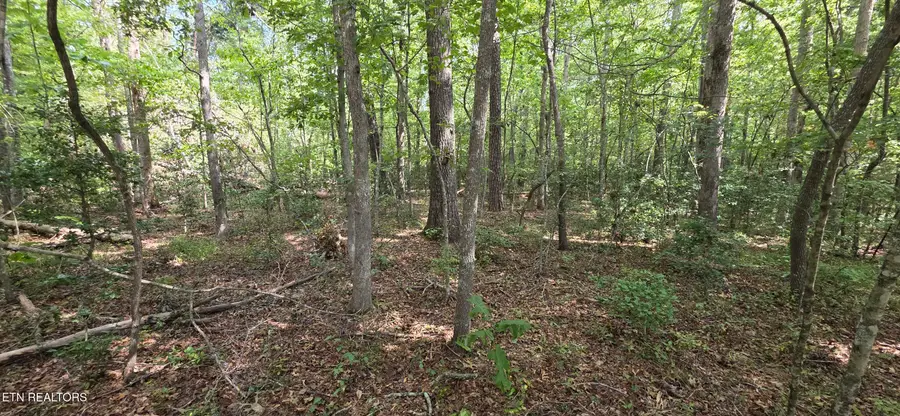 2 Laurel Way, Monterey, TN 38574 - #3