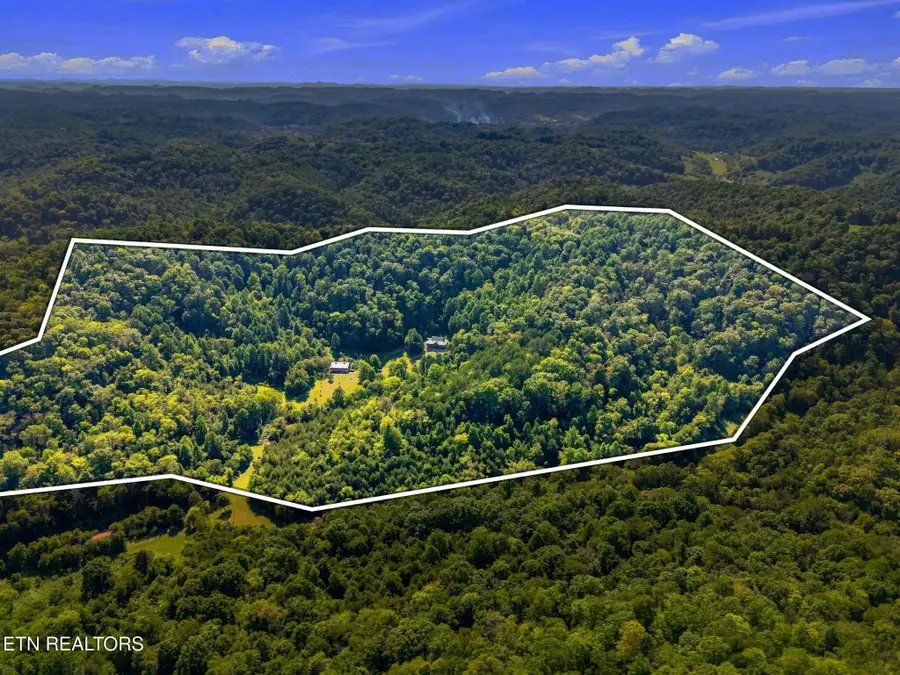 59 Russell Lane, Pleasant Shade, TN 37145 - #3