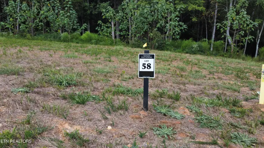 149 Lake Life Way, Loudon, TN 37774 - #2
