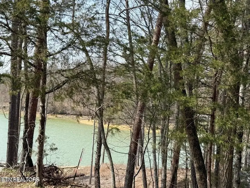 Summer Breeze Lane, New Tazewell, TN 37825 - #1