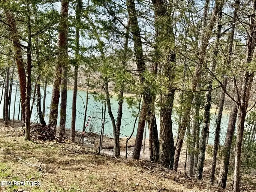 Summer Breeze Lane, New Tazewell, TN 37825 - #3