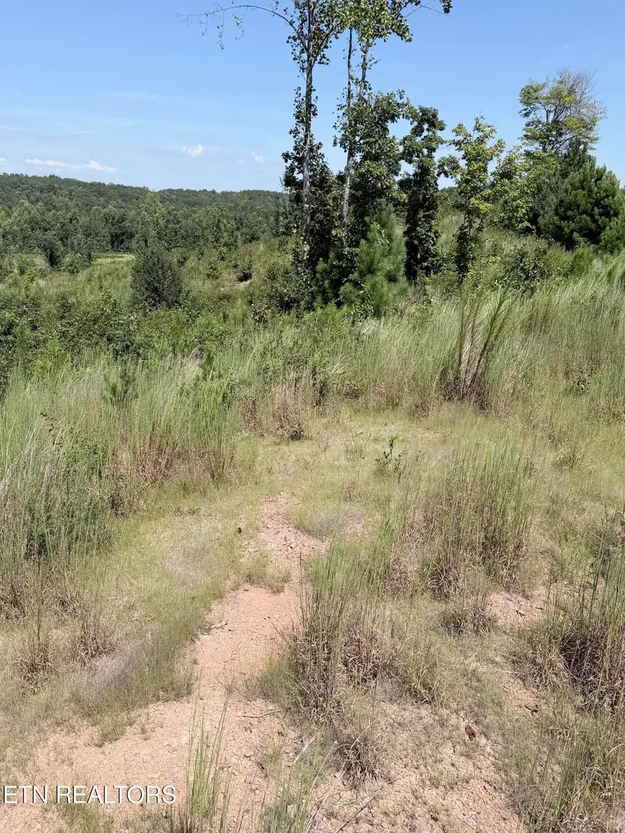 140 County Road 190, Decatur, TN 37322 - #3