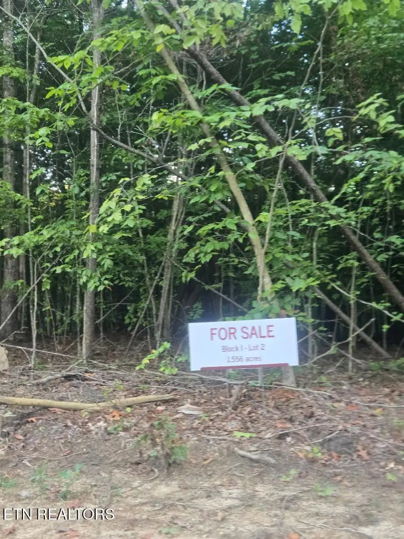 Lot 2 Bk I Ravenwood Drive, Wartburg, TN 37887 - #1