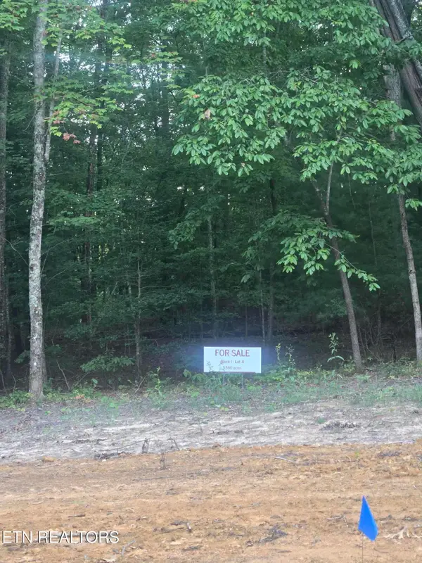 Lot 4 Bk I Ravenwood Drive, Wartburg, TN 37887
