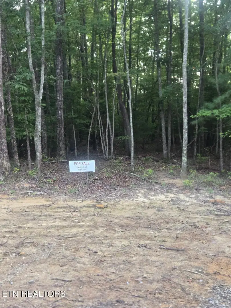 Lot 5 Bk I Ravenwood Drive, Wartburg, TN 37887 - #1
