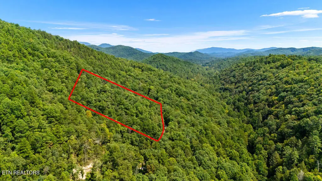 4143 Lumber Jack Way, Sevierville, TN 37876 - #1