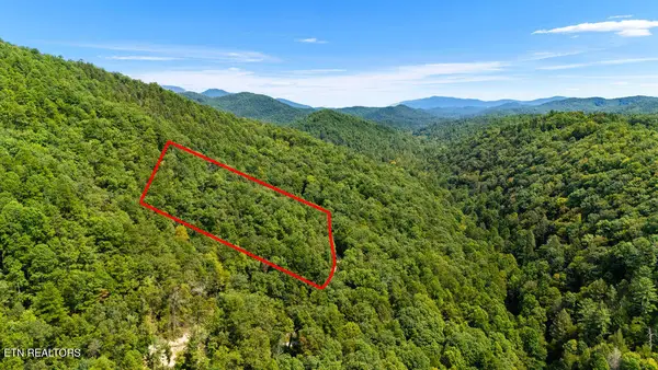 4143 Lumber Jack Way, Sevierville, TN 37876