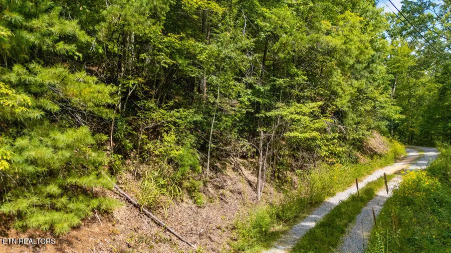 4143 Lumber Jack Way, Sevierville, TN 37876 - #2